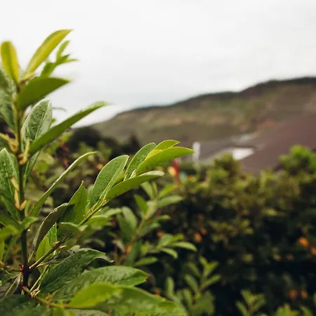 Kaufmann Apartamento *