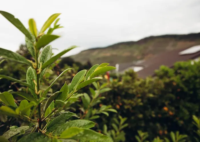 Kaufmann Appartamento *