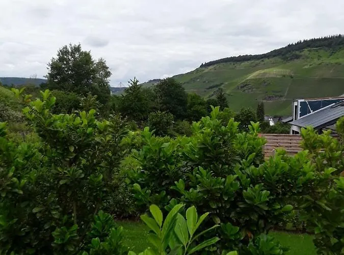 Appartement Kaufmann *